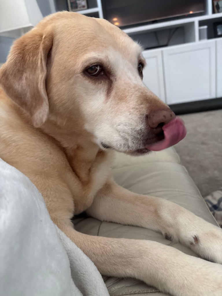 79701734917__5c0282cb-6f84-4c6d-ad5d-fc5faa2d295e